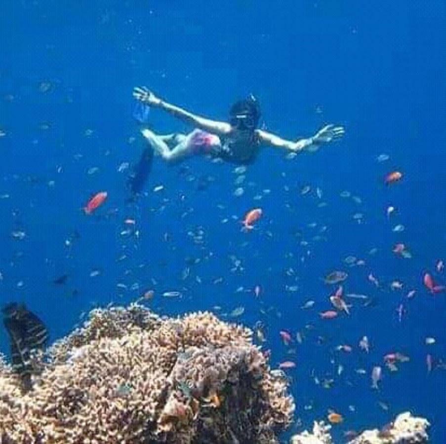 Taman menjangan homestay Banyuwedang Luaran gambar